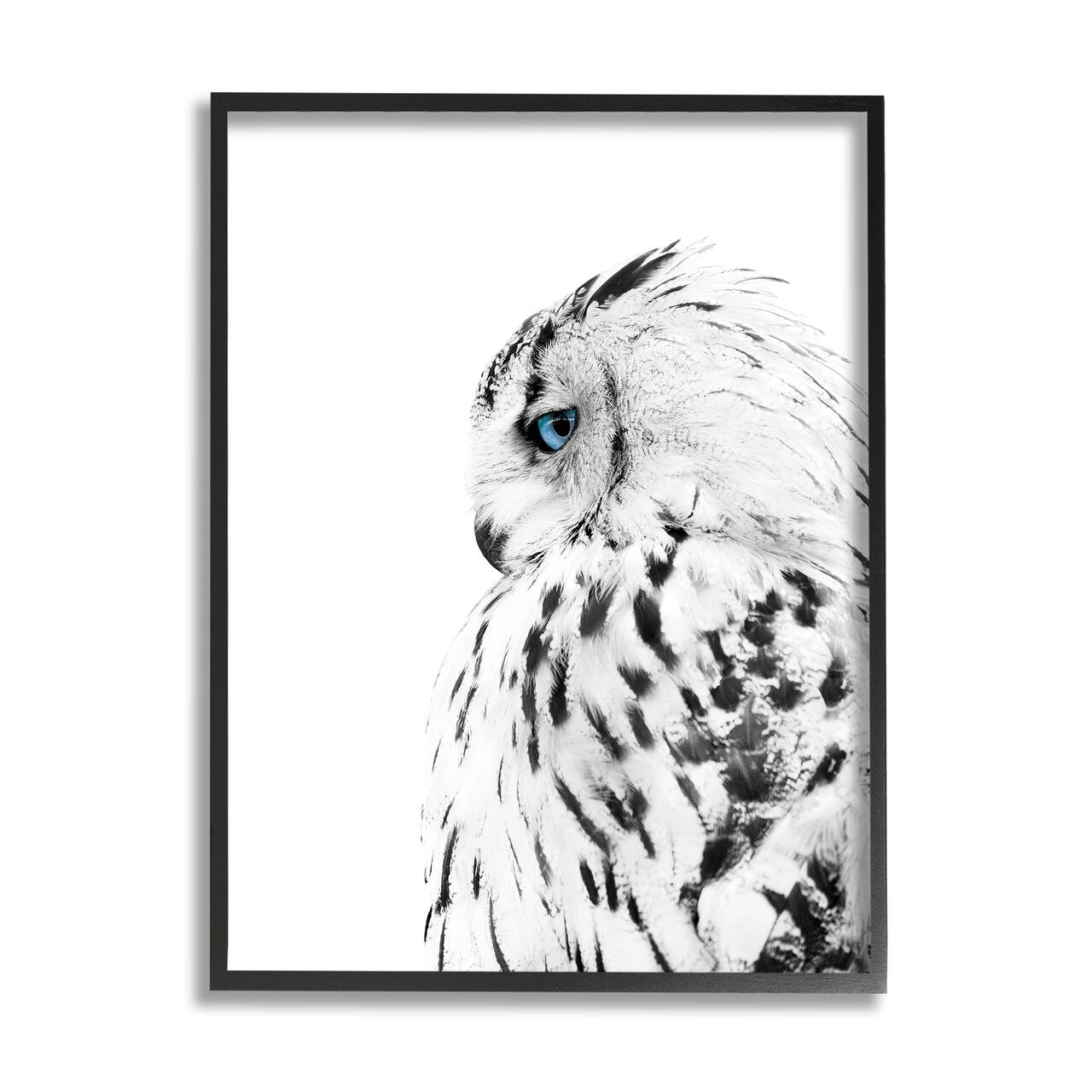 Stupell Industries Snow Owl White Feathers Peering Blue Eyes in Black Frame Wall Art